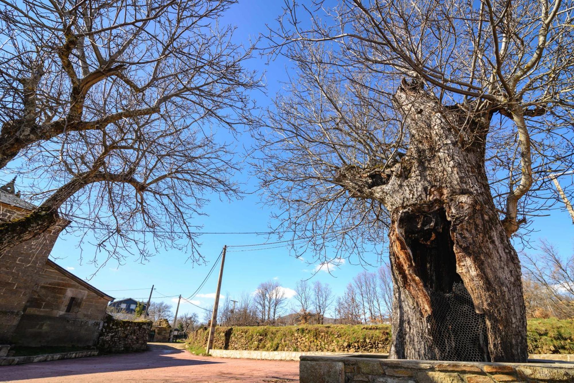 Casas Rurales San Justo Dış mekan fotoğraf