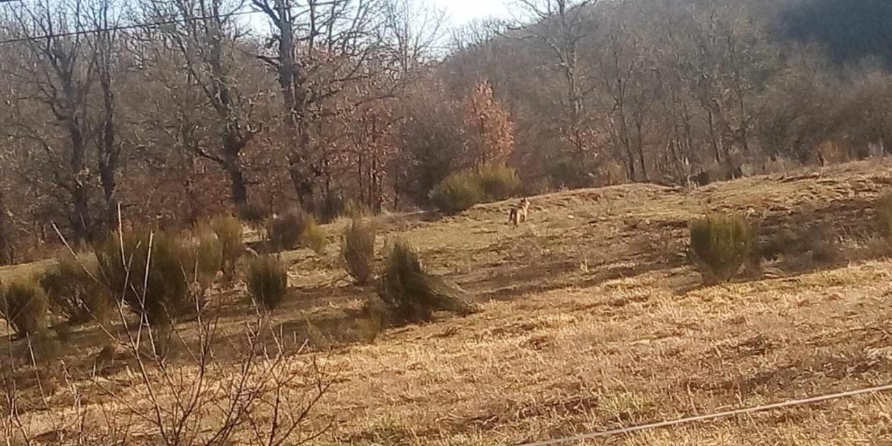 Casas Rurales San Justo Dış mekan fotoğraf